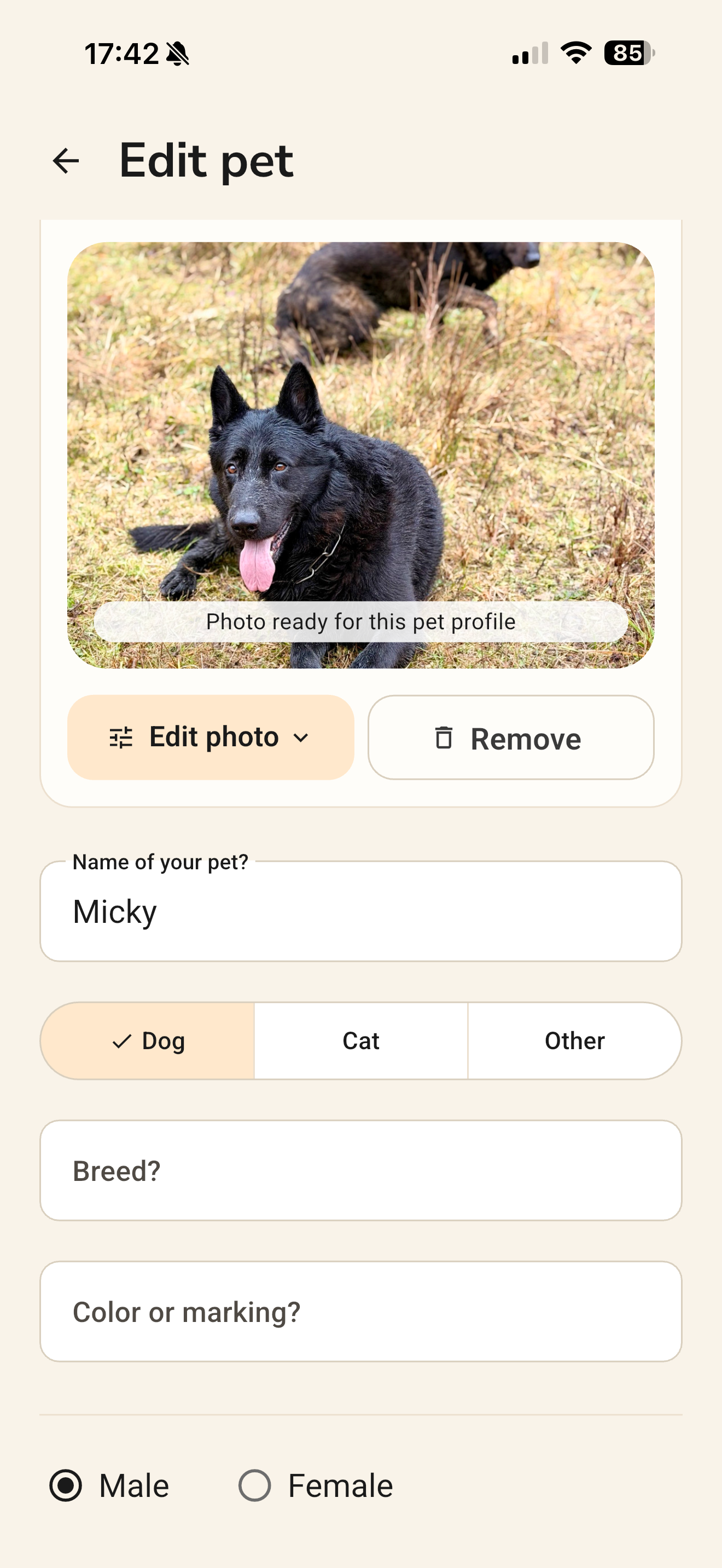 App screen 2